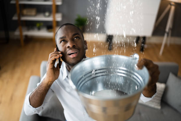 Best Water damage cleanup near me  in Chino, CA