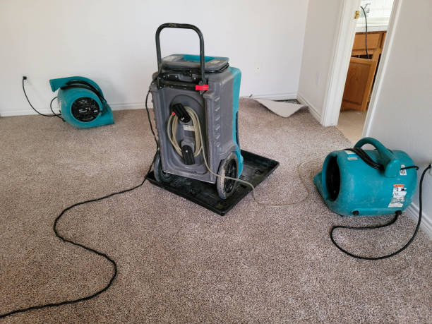 Best Water damage contractors near me  in Chino, CA