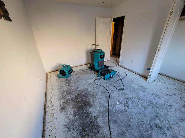 Best Carpet water damage restoration  in Chino, CA