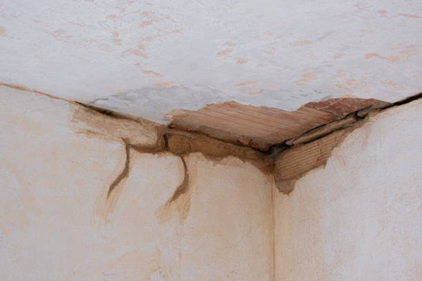 Best Water damage restoration near me  in Chino, CA