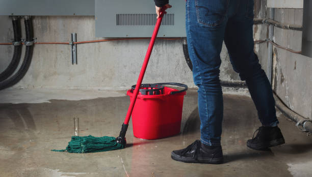 Best Residential water damage restoration  in Chino, CA