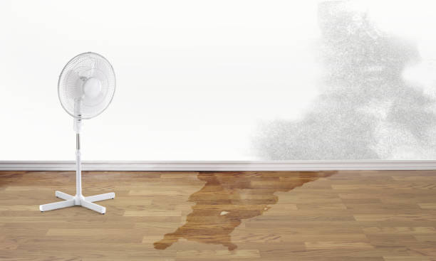 Best Basement water damage restoration  in Chino, CA