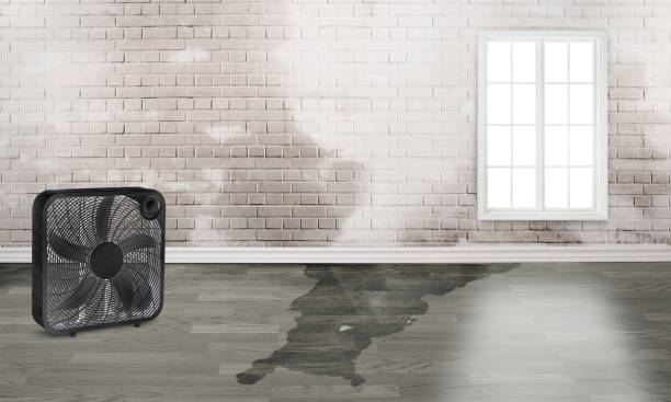 Best Water damage restoration near me  in Chino, CA