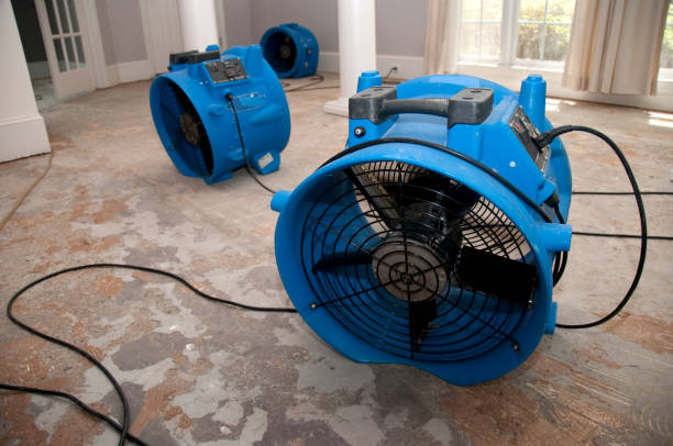 Best Sewage cleanup and water damage restoration  in Chino, CA