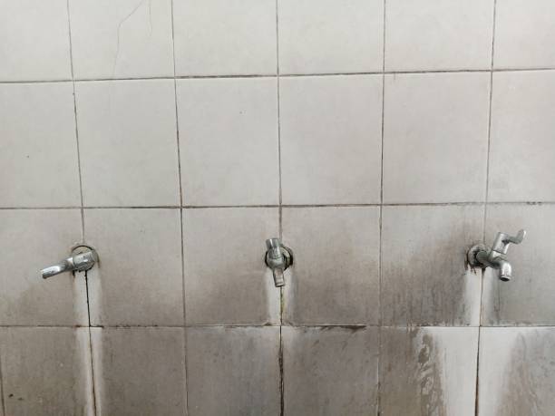  Chino, CA Water damage restoration Pros