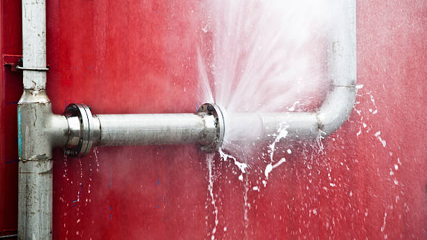 Best Flood damage cleanup  in Chino, CA