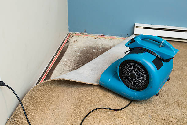 Best Professional water damage repair  in Chino, CA